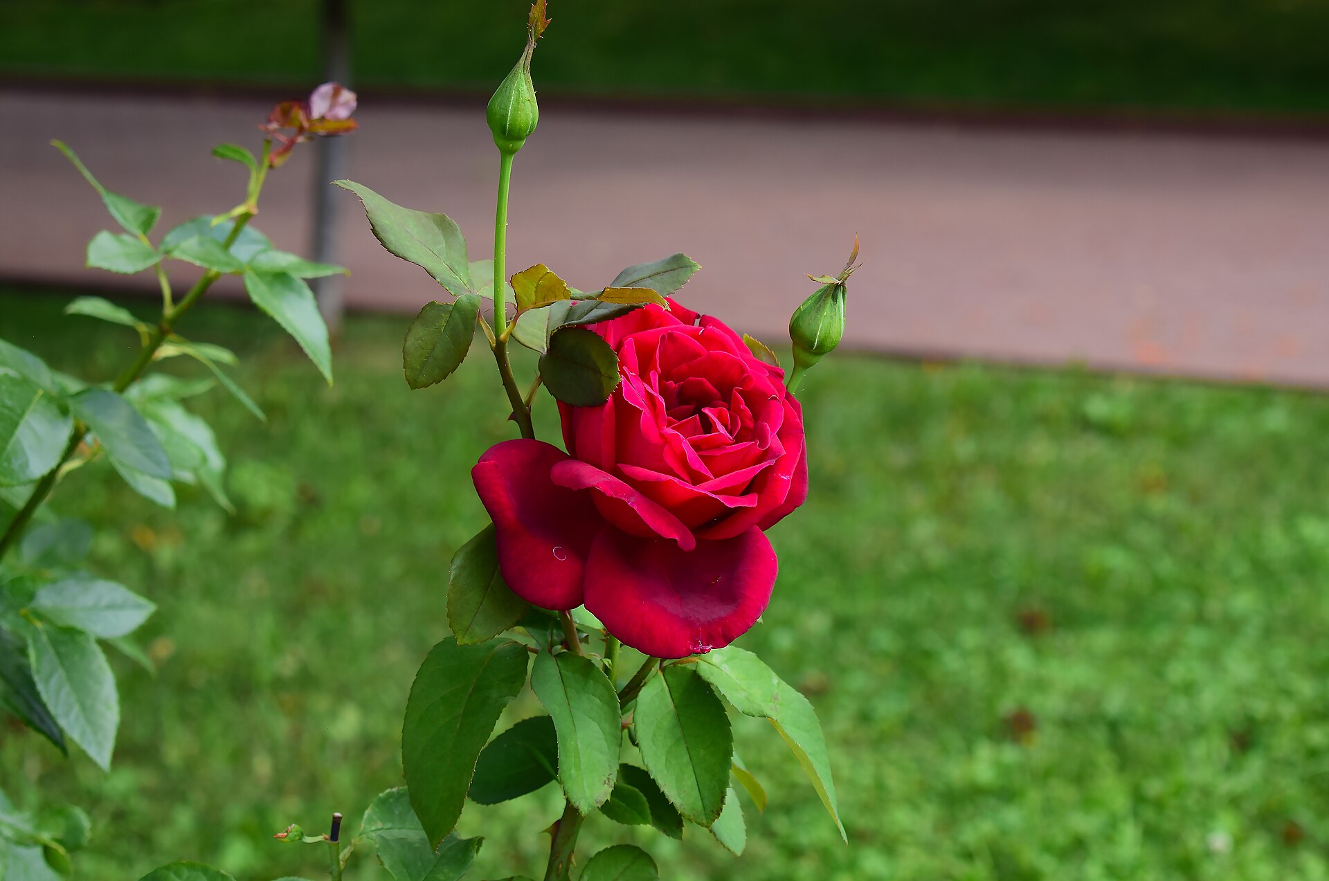 Valentine's personalized gift ideas